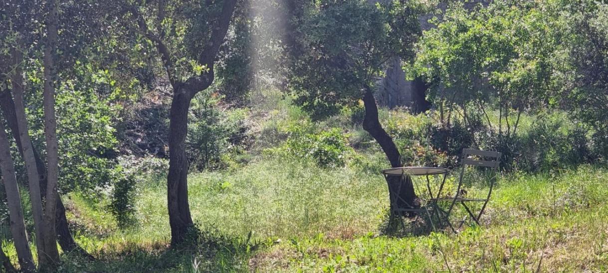 Апарт отель Les Bois De Zola Entre Provence Et Luberon Saint-Esteve-Janson Номер фото