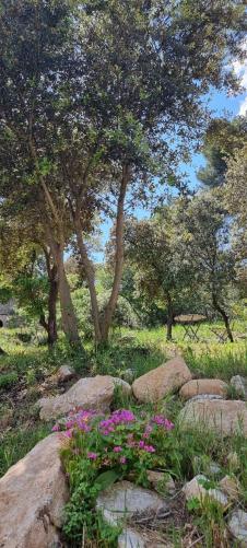 Апарт отель Les Bois De Zola Entre Provence Et Luberon Saint-Esteve-Janson Экстерьер фото