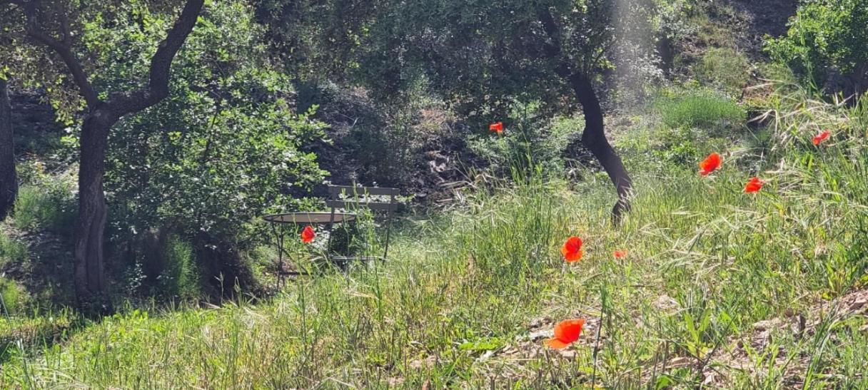 Апарт отель Les Bois De Zola Entre Provence Et Luberon Saint-Esteve-Janson Экстерьер фото