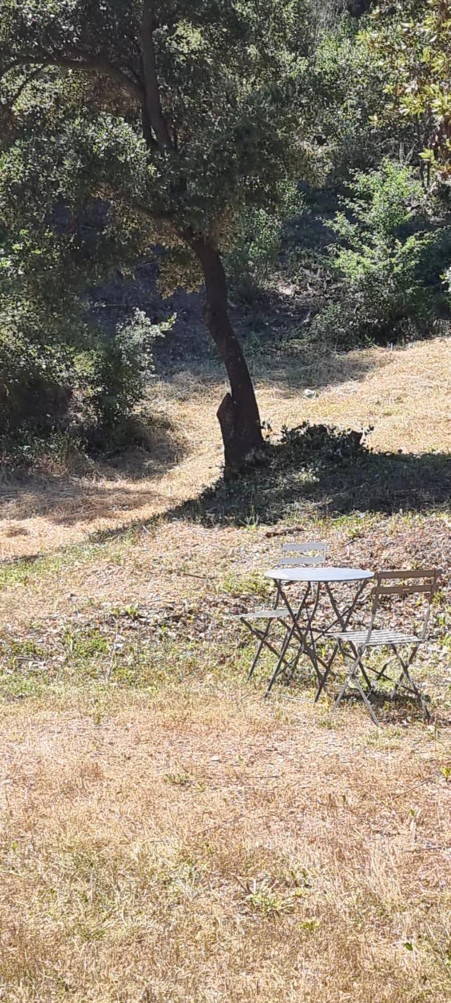 Апарт отель Les Bois De Zola Entre Provence Et Luberon Saint-Esteve-Janson Экстерьер фото